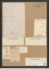 Podocystis adriatica Kuetz. (de-Toni-Nr.: Genus 55, Species 2421) Zeichnungen Sammlung Grunow Nr. 4873 (NHMW-BOT-W0373059)